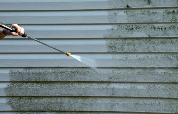 Best Pressure Washing Patio  in Osceola, AR