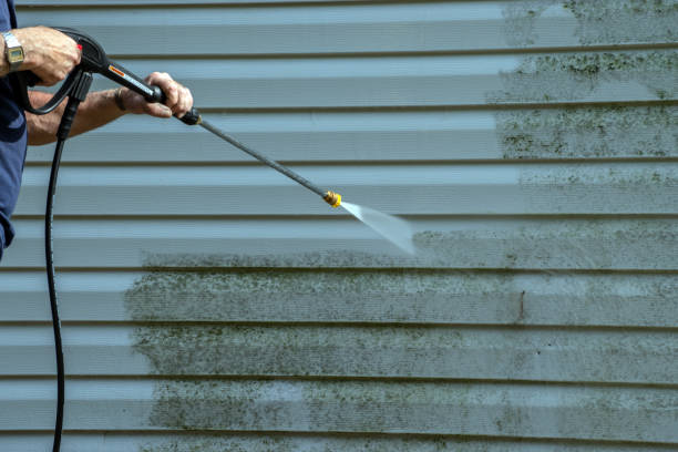 Best Exterior Home Cleaning  in Osceola, AR