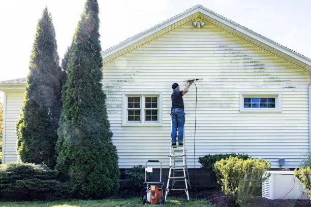 Best Affordable Pressure Washing  in Osceola, AR