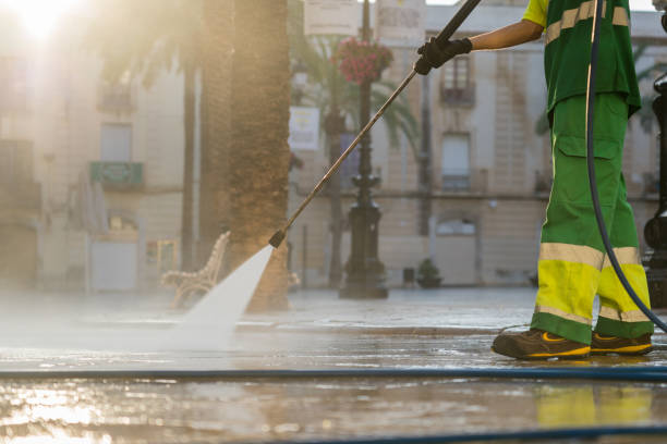 Best Roof Pressure Washing  in Osceola, AR